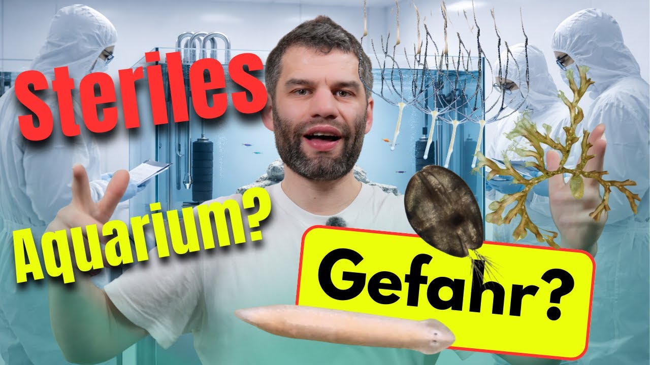 100% steriles Aquarium ☣️ Ist das gut?