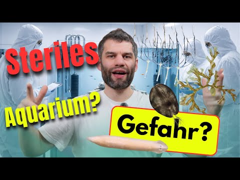 100% steriles Aquarium ☣️ Ist das gut?