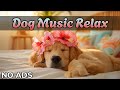 🐶 12 часов музыки для собак 🎵 Исцеляющая музыка для сна и релаксации