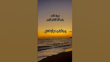 القارىء_محمد_الفقية_سورة_النساء