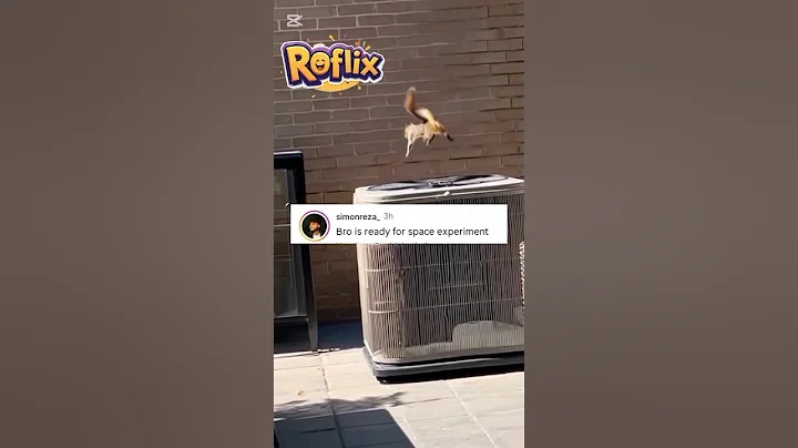 Legendary comments part 1 🤣🤣#comedy #comment #funny #shorts #memes