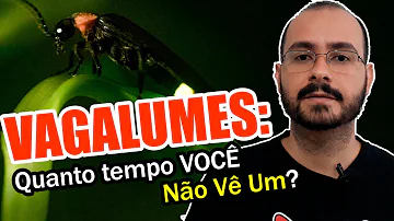 Onde se encontra Vagalume?