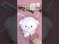 ごほうびDAY🫧 #いしよわちゃん #asmr