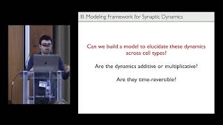 Aran Nayebi - Weight dynamics of many synapses onto diverse cell-types in vivo (Cosyne 2019)