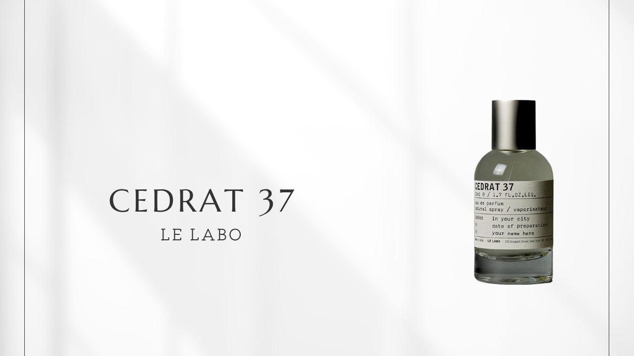 Cedrat 37 (Le Labo) | The light of rainy Berlin, lit by a sweet