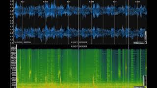 Sonic Visualiser 2022 03 13 00 07 21