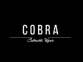 Cobra 427 by cobretti viper  total headturners