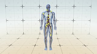 Tattoo ink could leave behind metals that affect immune system