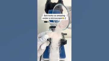Salt Under a Microscope 👀  #microscope #science #salt