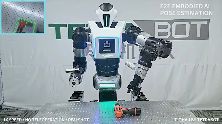 T-QHAII (Quadro-Humanoid for Active In-situ Intervention)