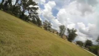 Lumenier QAV-R 5' Beta Flight 2.8.1