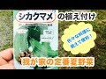 動画で家庭菜園『シカクマメの植え付け…色々な料理に使えて便利！我が家の定番夏野菜』Ｈ30.6.15