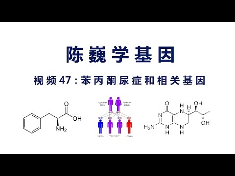 【陈巍学基因】视频47：苯丙酮尿症和相关基因