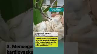 MANFAAT BUAH SRIKAYA          #buahsrikaya #manfaatbuahsrikaya