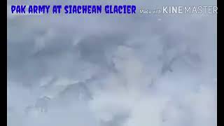 Pak army at siachin glaciers