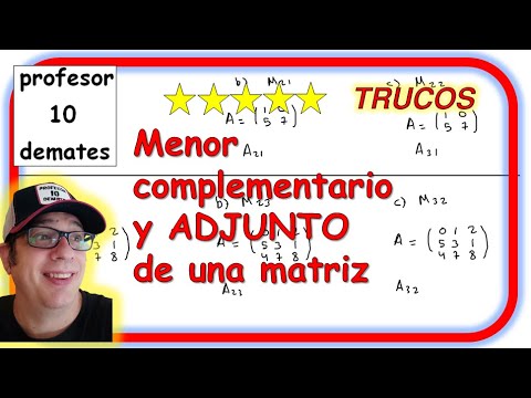 🔢 Menor complementario y ADJUNTO de una matriz