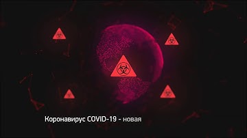 Yii2Group - Комплексная разработка проектов на Yii2 Framework / Обслуживание и поддержка