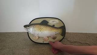 Rocky Rainbow Trout (2025 reupload)