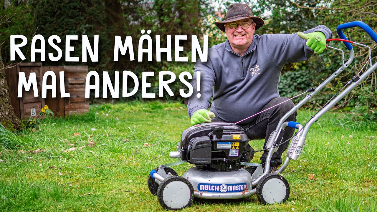 Weniger Mahen Naturrasen Oder Blumenwiese Seite