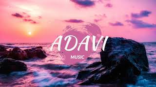 Adavi-ForeverParty