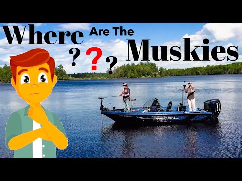 Where to Find Elusive Muskies