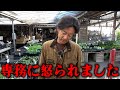 。。。【カーメン君】【園芸】【ガーデニング】