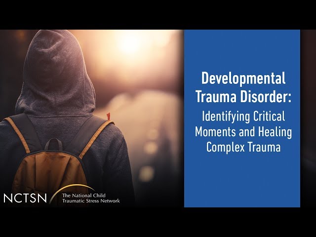 Watch Developmental Trauma Disorder: Identifying Critical Moments and Healing Complex Trauma [TRAILER] on YouTube.