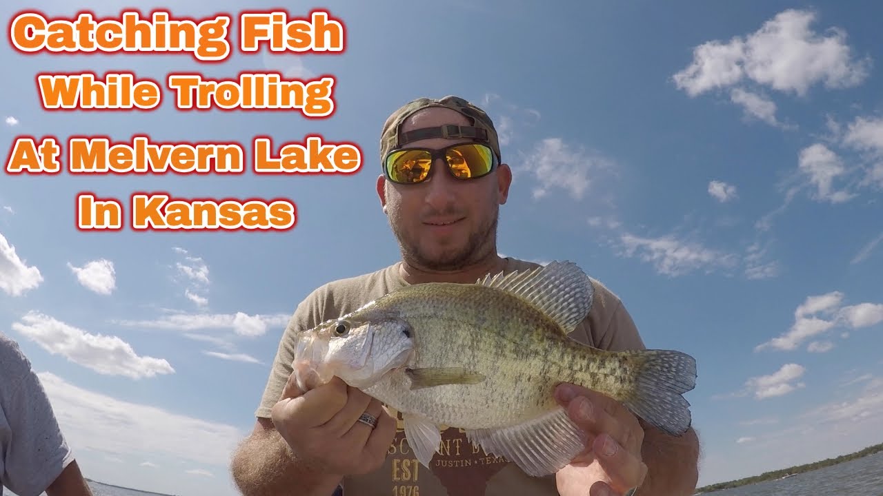 Catching Fish While Trolling At Melvern Lake In Kansas YouTube