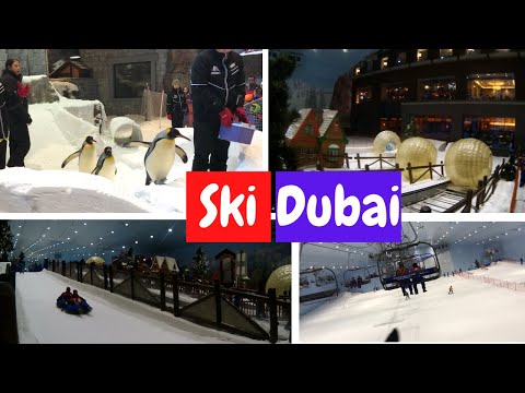 Ski Dubai | Interesting Fact About Penguins | BenizVlogs