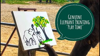Elephant Paintings by Suda - Play Time
For more info visit: http://www.ThaiElephantArt.com
This video is about Suda The Elephant Painting Play Time. A genuine elephant painting done by Suda the elephant. There are more videos of Suda and other elephants painting.
If you would like to obtain a print of the above painting, please visit https://www.thaielephantart.com for further information.
We also offer a wide range range of beautiful prints of elephant paintings and poster size photos of elephants in a variety of sizes and frames, which will enable you to obtain the perfect size for your home, office or gallery. Elephant Paintings by Suda - Play Time