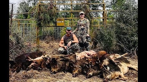 Hog Trap Hogg Boss cellular controlled trap setup