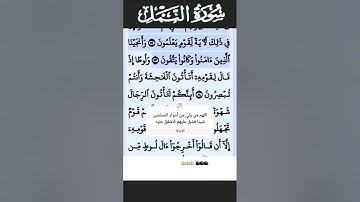 سورة النمل الآية 53 #قرآن #تلاوات #سورة