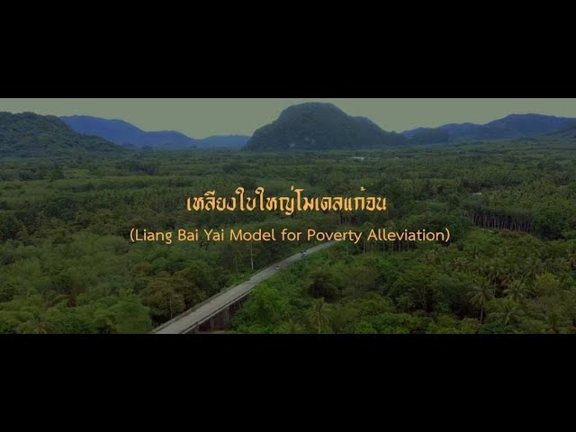 เหลียงใบใหญ่โมเดลแก้จน ตอนที่ 1: จุดเริ่มต้น...ของการเปลี่ยนแปลง