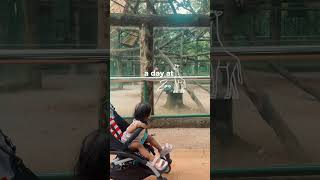 #zoo #ragunan #fypshorts #fypシ #fypyoutube
