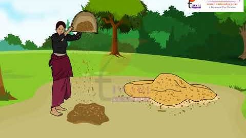 Separation of Substances - Winnowing