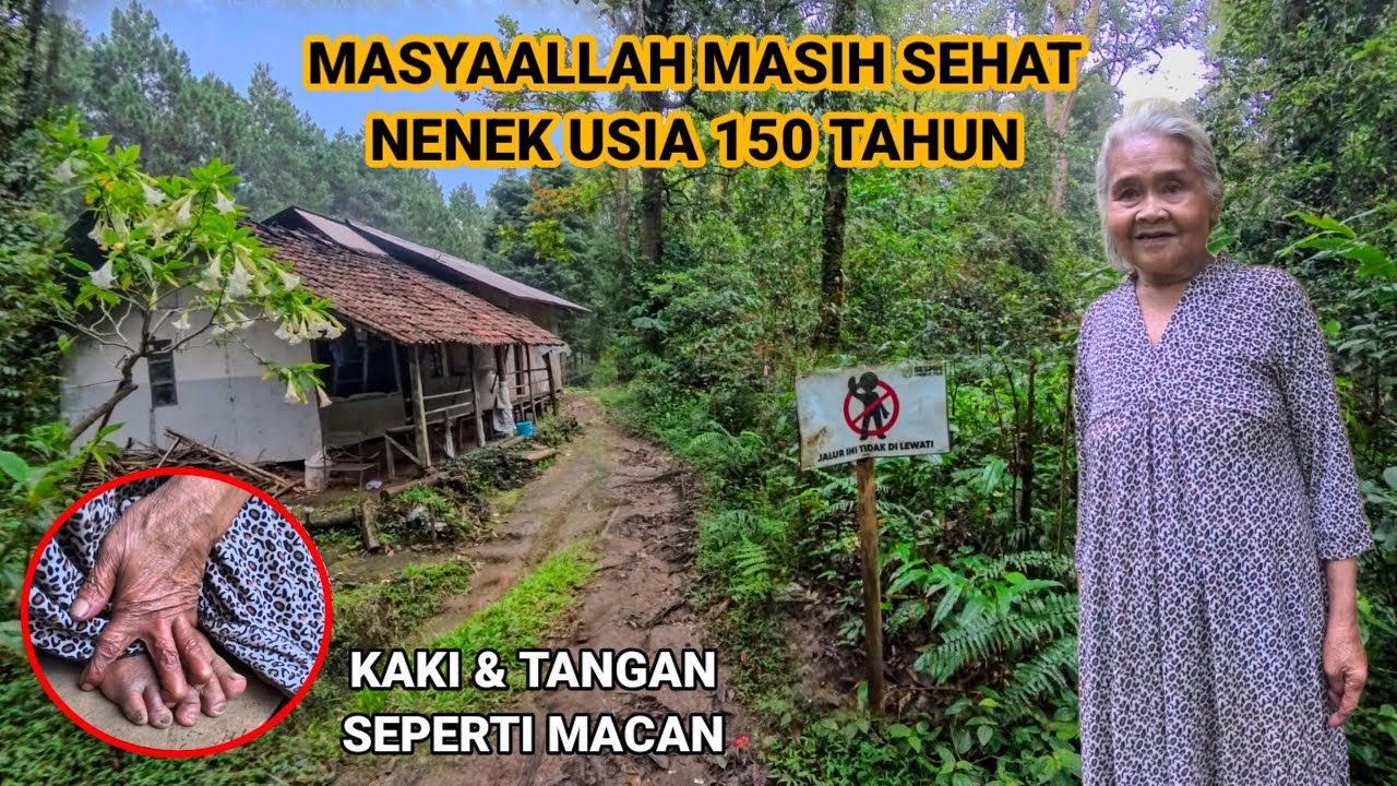 INI MUSTAHIL NENEK BERUSIA 150 TAHUN BUKA WARUNG SENDIRI DI TENGAH HUTAN