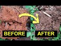 You Re ONLY 4 Steps Away From Healthy Living Soil You Re ONLY 4 Steps Away From Healthy Living Soil