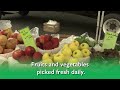 2022 Rockville Farmers Market Promo