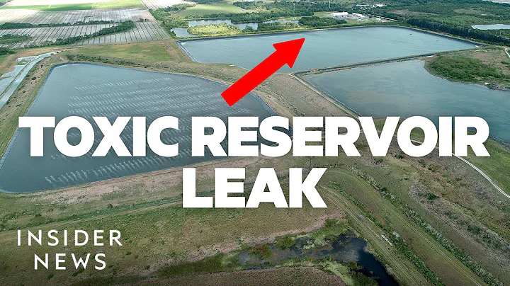 Watch Footage Of A Florida Reservoir That's Leaking Toxic Wastewater
