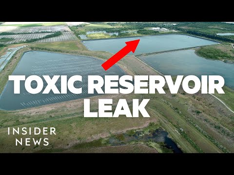 Crystal Sunshine Leak: A National Emergency?