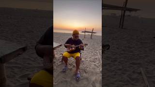 🎶🌻"Sunflower" - Ukulele Cover After  Sunset at the beach 🌅
