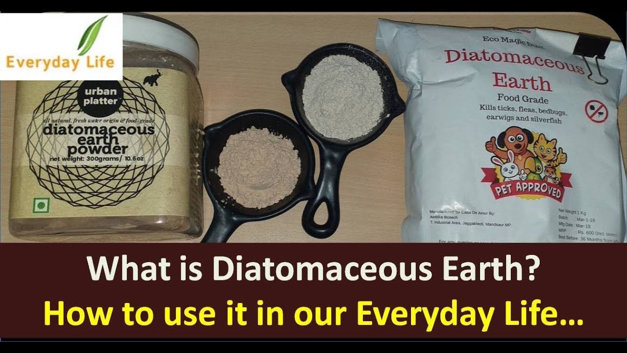What Is Diatomaceous Earth Natural Bug Killer What Is Diatomaceous Earth Natural Bug Killer