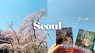 Seoul VLOG🌸🇰🇷| Spring, Cherry Blossoms, Manga Haul, Frieren, Animate, Soufflé Pancakes| Couple VLOG💕