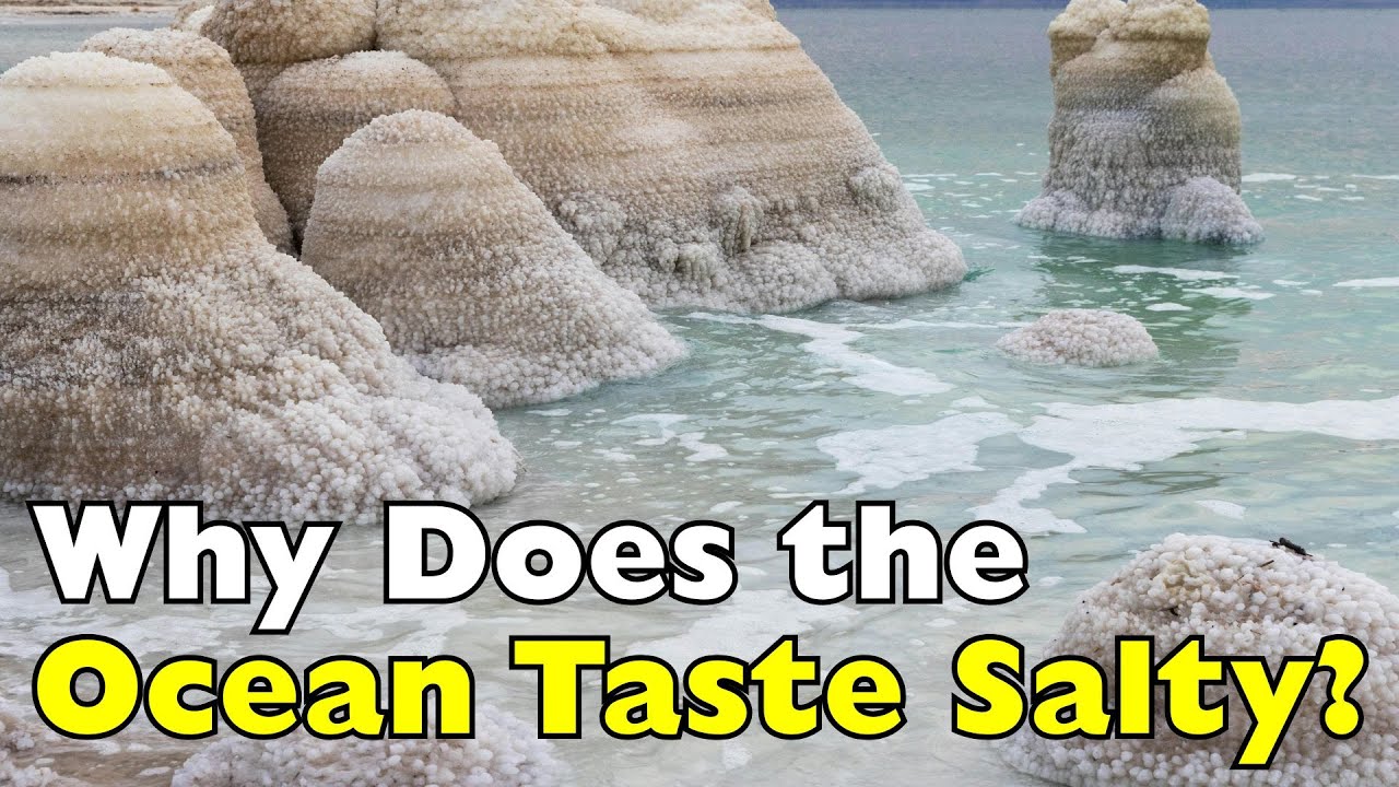 Почему океан солёный, а реки нет? [ID0804]