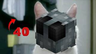 Silverfish Pet Leveled up to Level 40 | Hypixel Skyblock