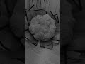 /#рекомендации /#flower/#цветы