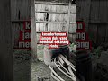 nostalgia jaman dulu #nostalgia #jamandulu #kampungbikinsejuk #kampung