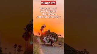 जिंदगी कभी धुप में | village life #shorts #motivational shayari #success #upse #scc
