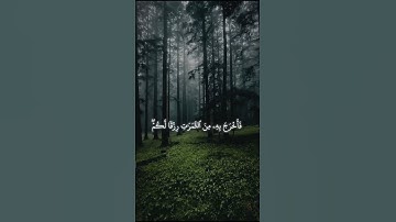 سورة البقرة - Surah Al-Baqarah | الآية (22) | #المصحف #اكسبلور #راحة_نفسية