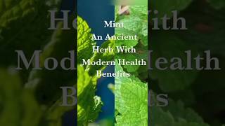 Mint - A Refreshing Herb With Remarkable Health Benefits mint  peppermint pudina shorts